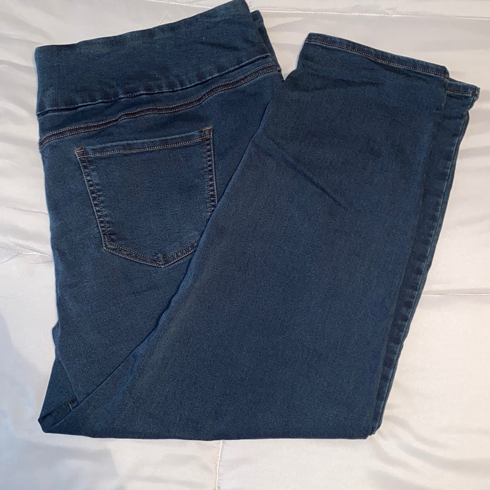 Avenue Denim Skinny Jeans 22/24 Petite!